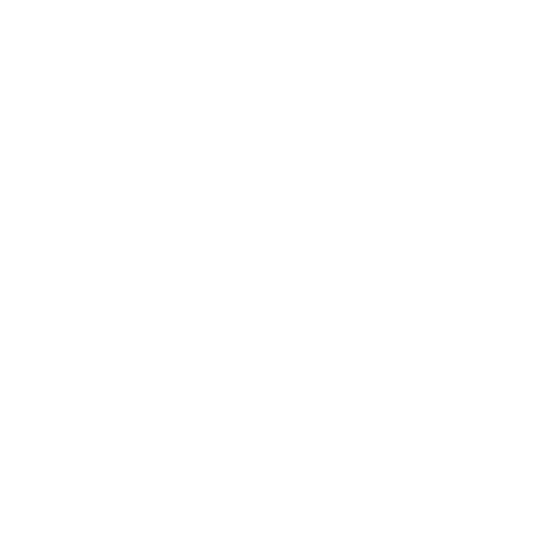 Travel Support